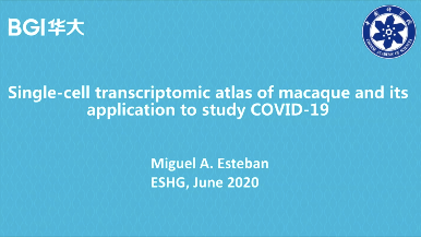 ESHG | Single-cell transcriptomic atlas of macaque and its application to study COVID-19
