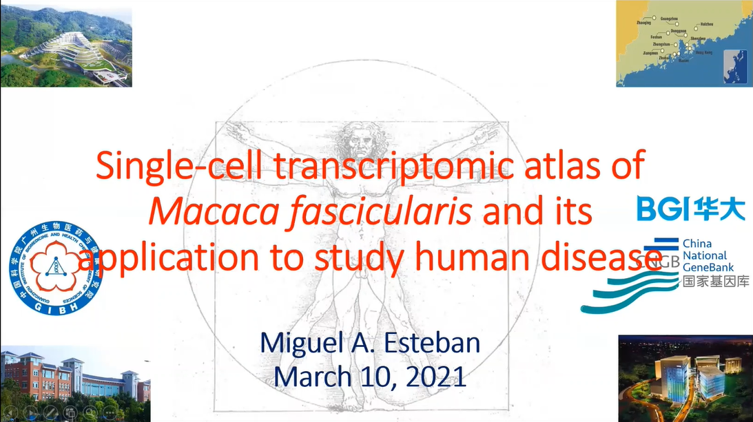 RNGS | Single-Cell Transcriptomic Atlas of Macaca Fascicularis and Its Application to Study Human Diseases
