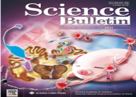Empowered Research | MGI Genetic Sequencing Platform Supports Brain Mapping Research in Domestic Pigs, Related Achievements are Selected as the Cover of Science Bulletin