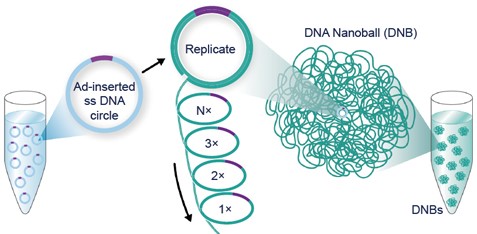 MGI DNBSEQ™ Sequencing Technology 0